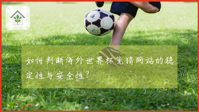 如何判断海外世界杯竞猜网站的稳定性与安全性？